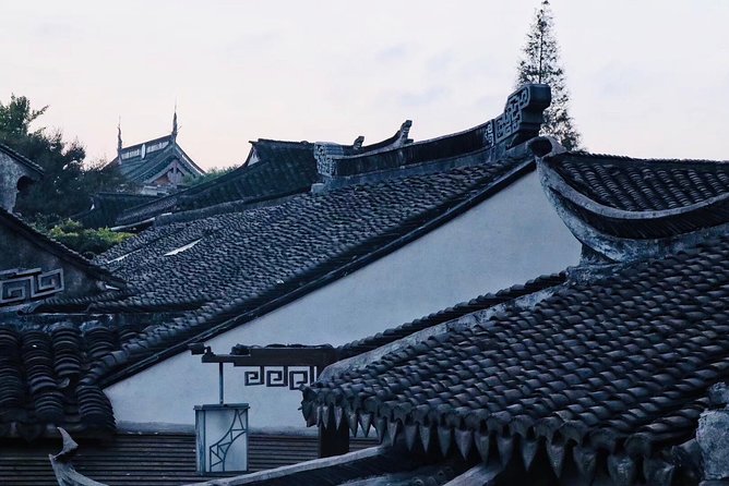 Private Wuzhen Water Town Day Tour from Hangzhou - Is $248 per person a fair price?