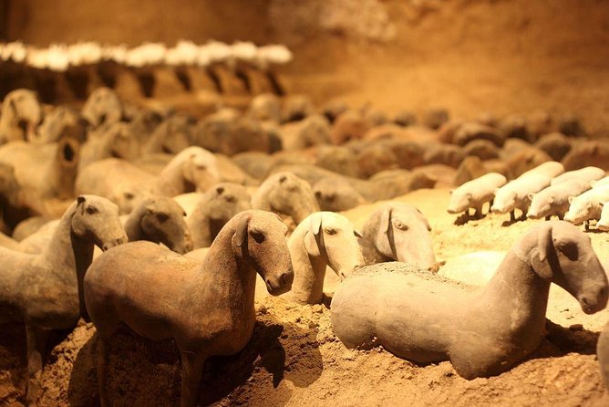 Private Xi'an Tour: Terracotta Warriors, Hanyangling Museum, Cave Homes - Why this private day works well in Xi’an