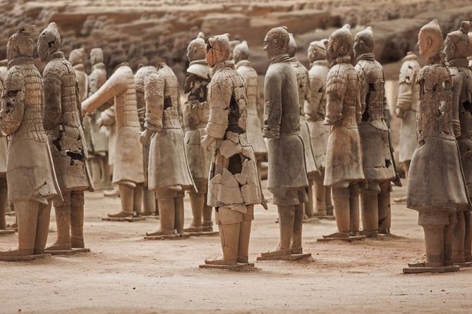 Private Xian Day Tour: Terracotta Warriors, Big Wild Goose Pagoda - One hour in the Grand Tang Dynasty Ever Bright City