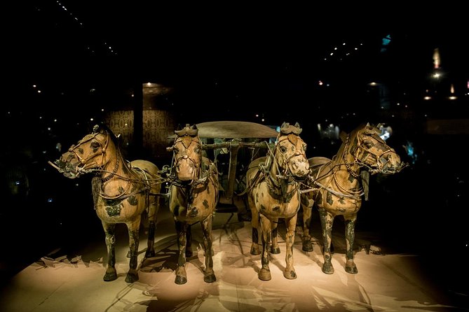 Private Xian Day Tour: Terracotta Warriors, Big Wild Goose Pagoda - Transport, timing, and family comfort