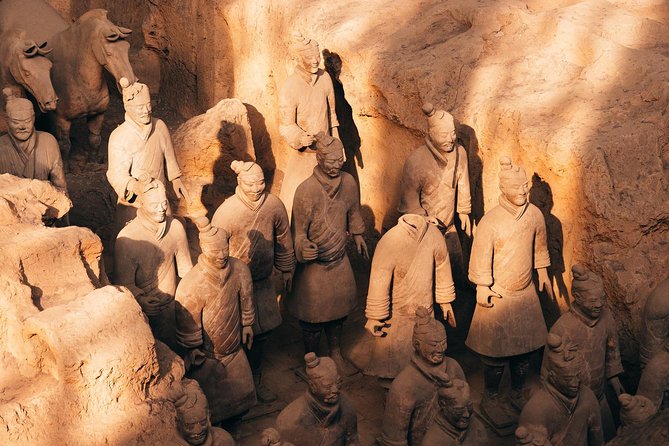 Private Xian Day Tour: Terracotta Warriors, Big Wild Goose Pagoda - The Terracotta Warriors Museum in two and a half hours
