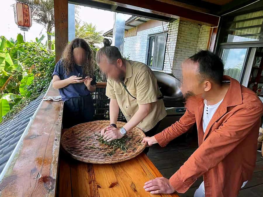 Puer Tea Picking and Tasting | 6 Hour Morning Trip - Walking the Tea Fields Near Pu’er