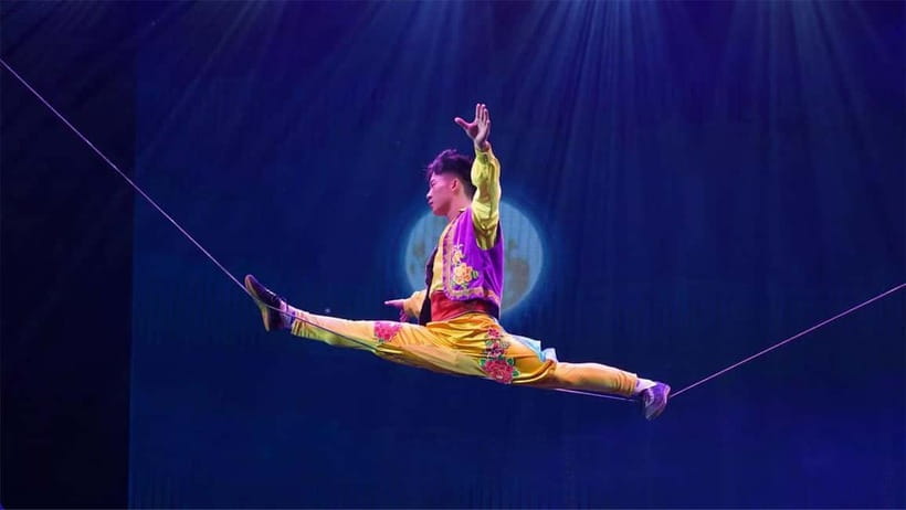 Red Theater Beijing Acrobatic Show Tickets With Option - Who should book the Red Theater show?