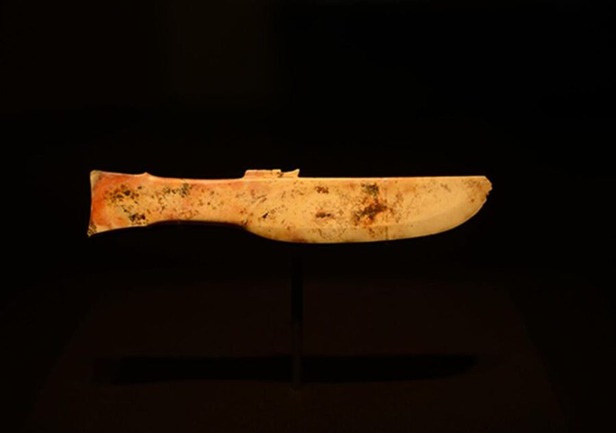Sanxingdui Museum Small Group Tour with Optional Panda Base - Returning to Chengdu after the museum