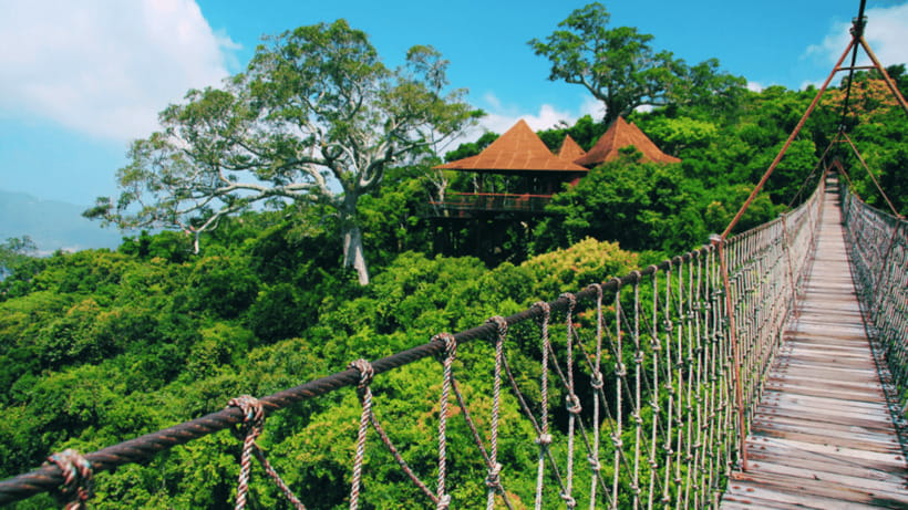 Sanya: Yalong Bay Tropical Forest Ticket and Tour Car - Key points before you go