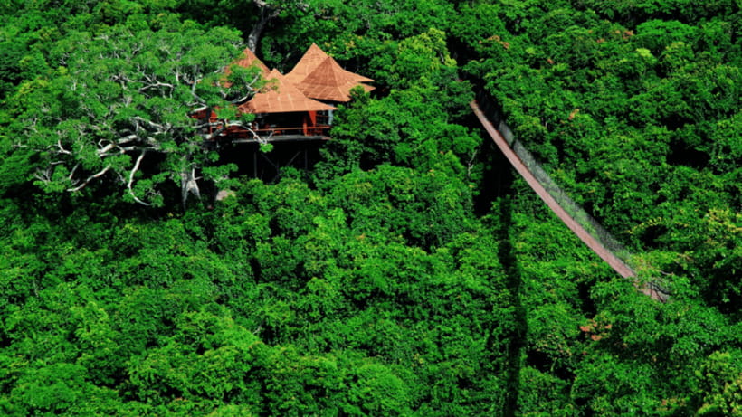 Sanya: Yalong Bay Tropical Forest Ticket and Tour Car - Best timing for a calmer visit