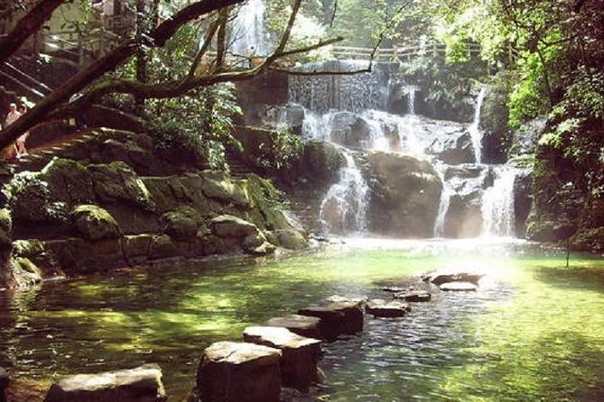 Seven Star Crag and Dinghu Mountain private day tour from Guangzhou - The $300 price: who gets good value