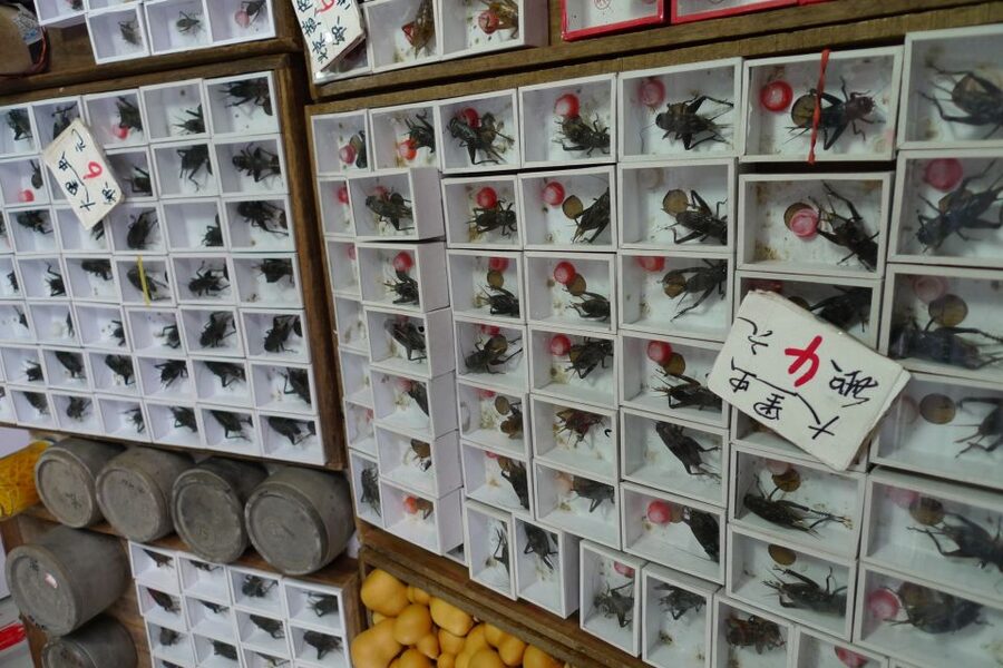 Shanghai: 3-Hour Old Shanghai City Tour - Is $75 a Fair Price?