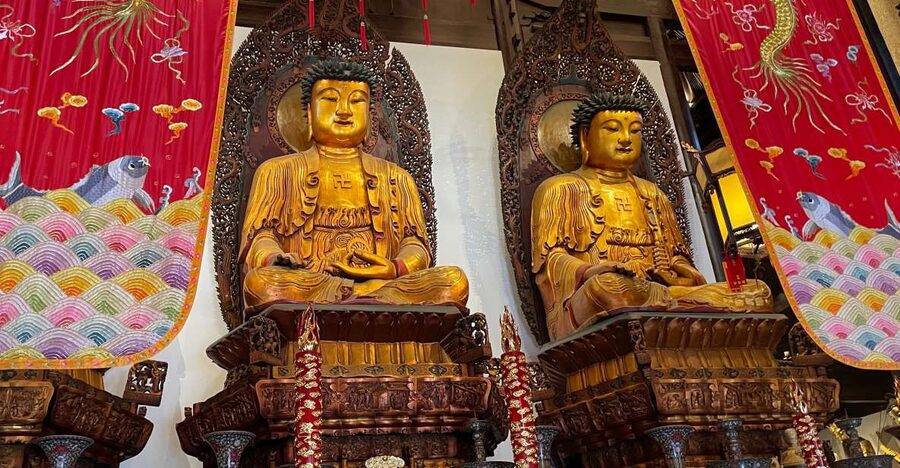 Shanghai: 8-Hour Guided Tour of Old and New City Highlights - Why this private Shanghai tour is useful