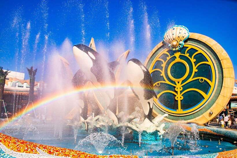Shanghai: Haichang Ocean Park Adult Ticket - Key things to know before you go