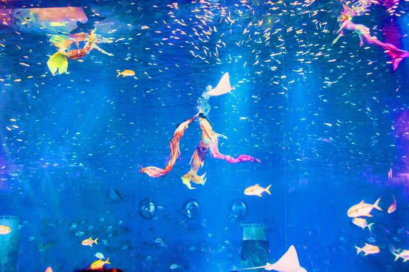 Shanghai: Haichang Ocean Park Adult Ticket - The Blue Star Squad parade and themed performances