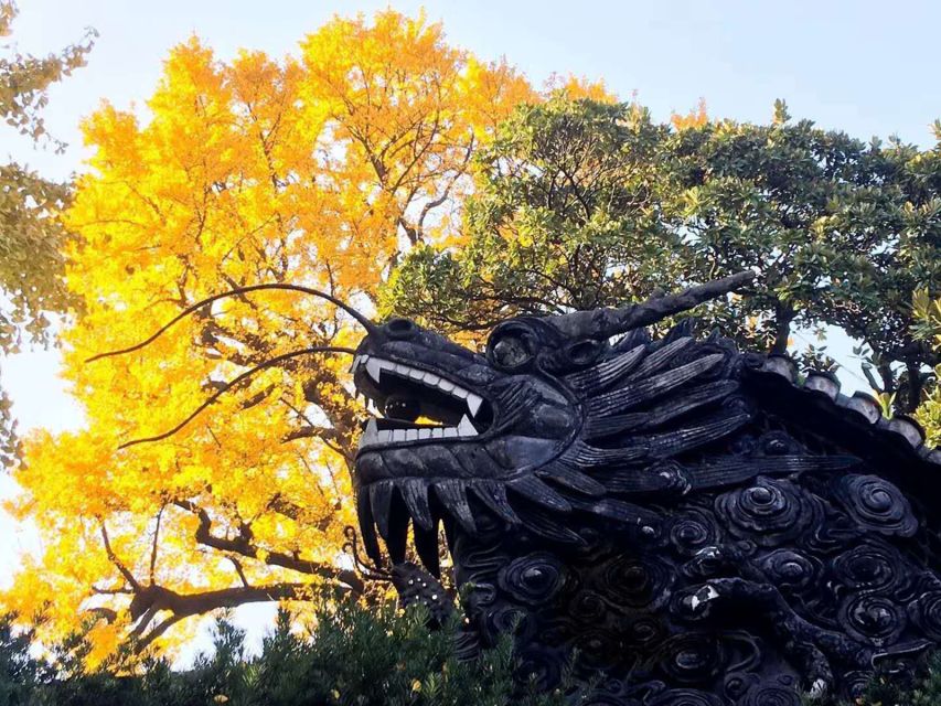 Shanghai Highlights and Zhujiajiao Water Town Private Tour - The French Concession’s leafy change of scene