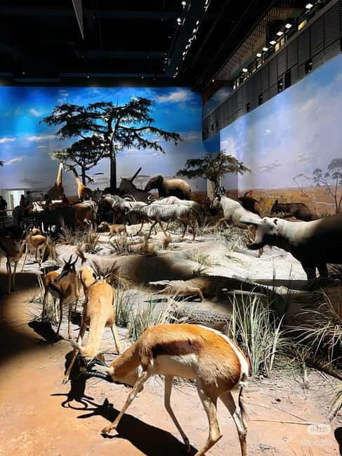 Shanghai: Natural Museum tickets with guide(optional) - Theaters, live animals, and hands-on learning