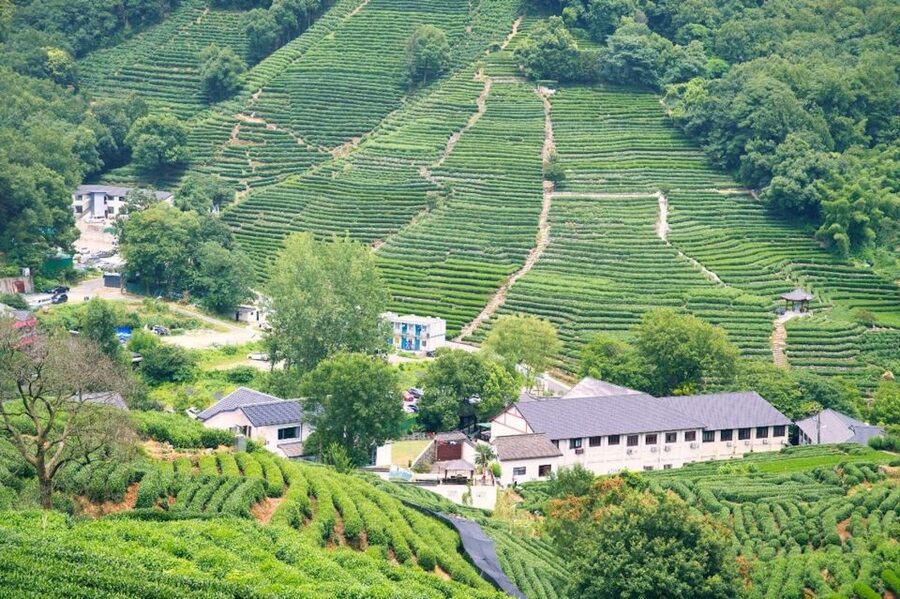 Shanghai: Private Guided Tour to Hangzhou by Bullet Train - Key points to know before booking