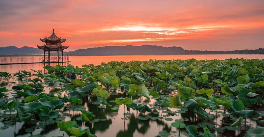 Shanghai: Private Guided Tour to Hangzhou by Bullet Train - Timing, walking, and practical comfort