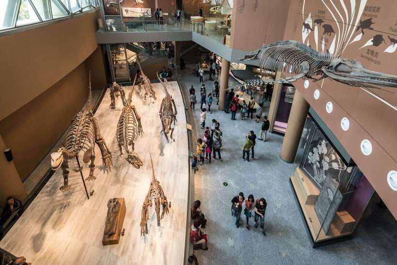 Shanghai: Private Tour of the Shanghai Museum - Why a guided visit helps at Shanghai Museum