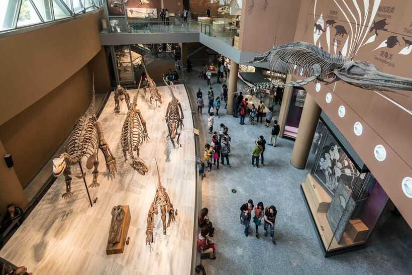 Shanghai: Private Tour of the Shanghai Museum - Jade, burial objects, and moral symbolism