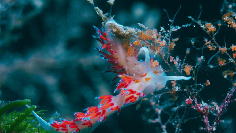 Shanghai: The Marine Wonders at Shanghai Ocean Aquarium - Is $38 a Fair Price?
