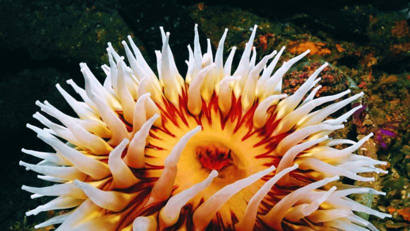 Shanghai: The Marine Wonders at Shanghai Ocean Aquarium - How to Handle the Booking