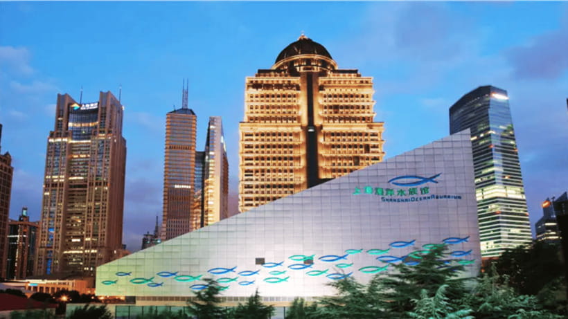 Shanghai: The Marine Wonders at Shanghai Ocean Aquarium - Themed Zones Give the Visit More Shape