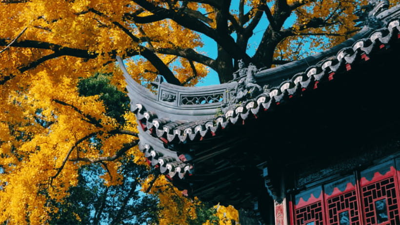 Shanghai: Yu Garden Admission Ticket - What this ticket does not include