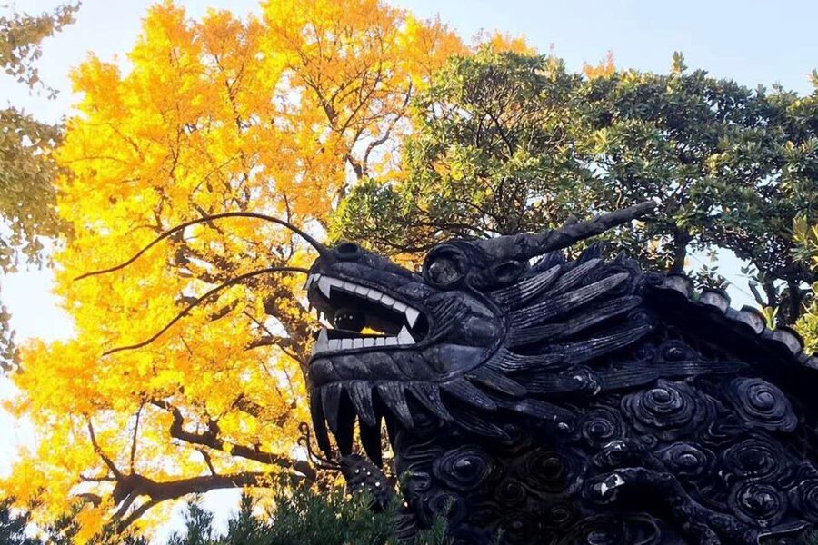 Shanghai: Yu Garden and City God Temple Walking Tour - What the $60 price gives you