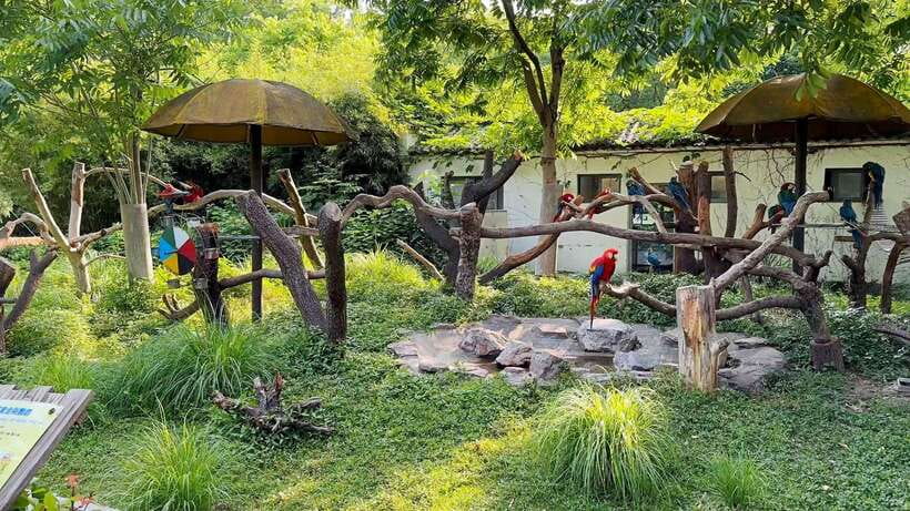 Shanghai: Zoo and Zhujiajiao Water Town Tour with Boat Ride - One day, two very different sides of Shanghai