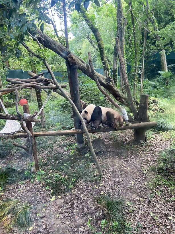 Shanghai: Zoo and Zhujiajiao Water Town Tour with Boat Ride - Is $190 per person a fair price?