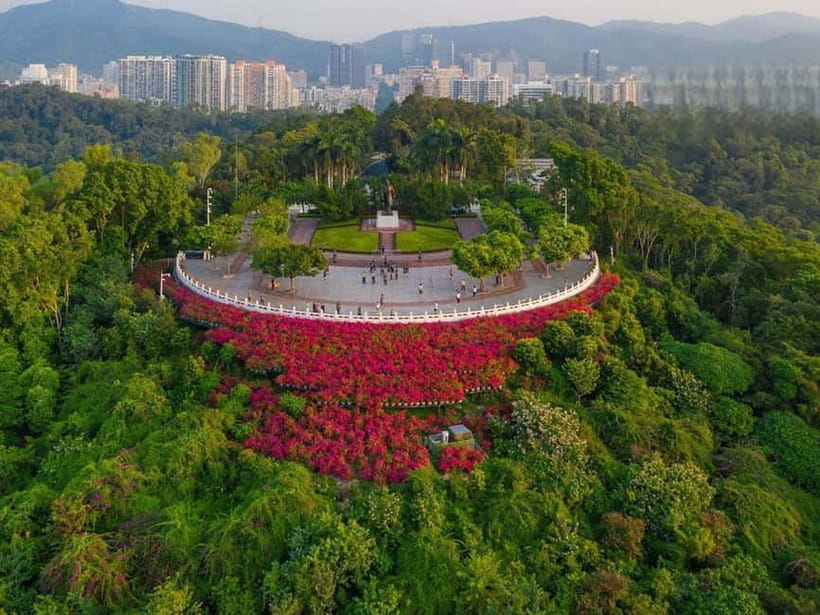 Shenzhen:8h City Walk & Future Experience Highlights Trip - What the $174 price buys you