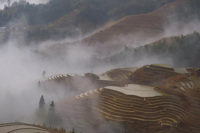 Short Li-River cruise and Longji Rice Terraces Private Day Tour - Why this Guilin combination works