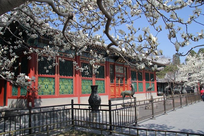 Summer Palace Ticket with optional Guided Tour - Hall of Benevolence and Longevity: where official business began