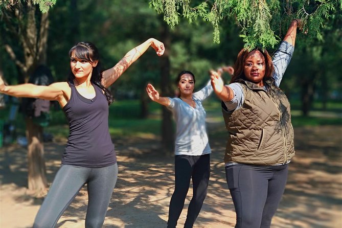 Tai Chi or Kung Fu plus Chinese Calligraphy Learning Class - Who should book this experience