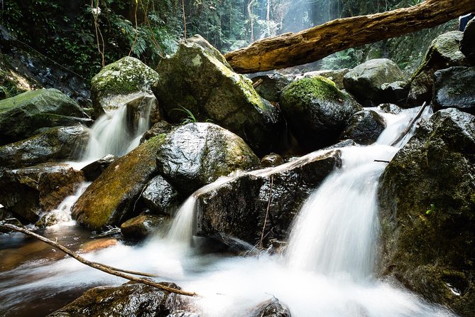 Tai Mo Shan Waterfall Adventure Hike - Leaving Hong Kong behind at Tai Wo Station