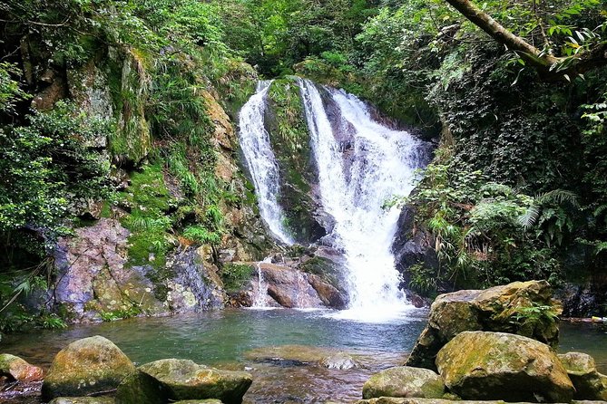 Tai Mo Shan Waterfall Adventure Hike - A guide-led hike with room to change plans