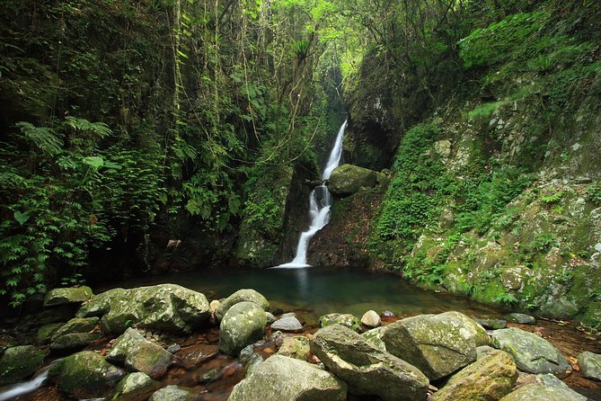 Tai Mo Shan Waterfall Adventure Hike - Is the $101.48 price fair?