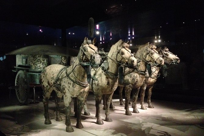 Terra-Cotta Warriors & Horses Essential Full Day Tour from Xi'an - What makes the guides valuable