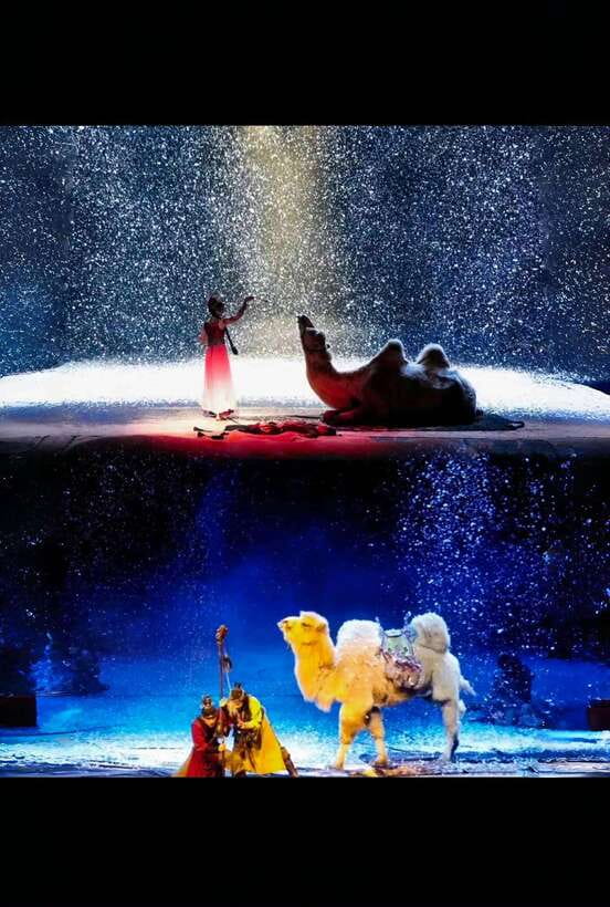 The Legend Of Camel Bell In Xi’An - The theater itself is part of the attraction