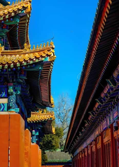 Tickets to all Beijing attractions (Forbidden City optional) - Passport details are part of the booking