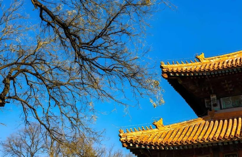 Tickets to all Beijing attractions (Forbidden City optional) - Tiananmen Square and the Forbidden City