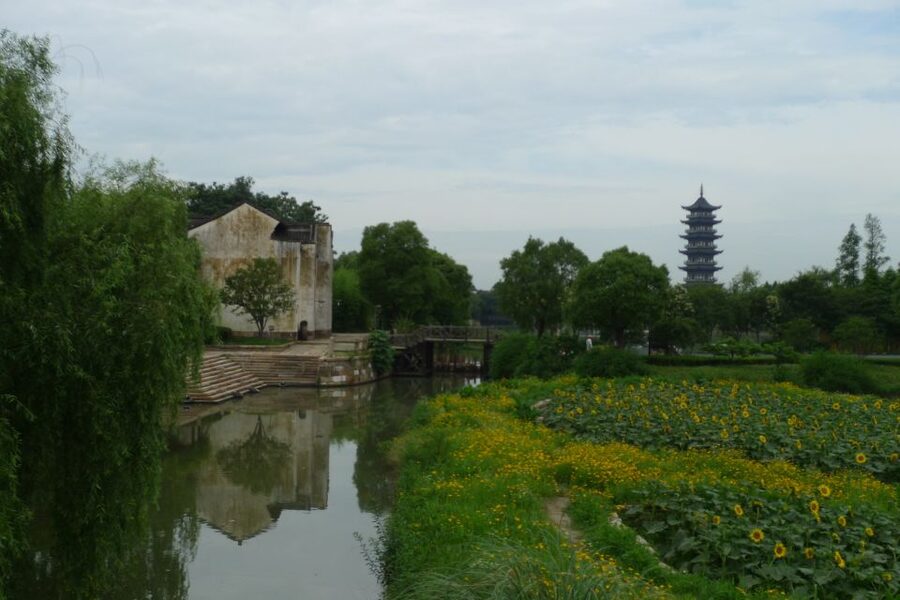 Wuzhen Private Full-Day Tour from Shanghai - The Water Market and Traditional Food District
