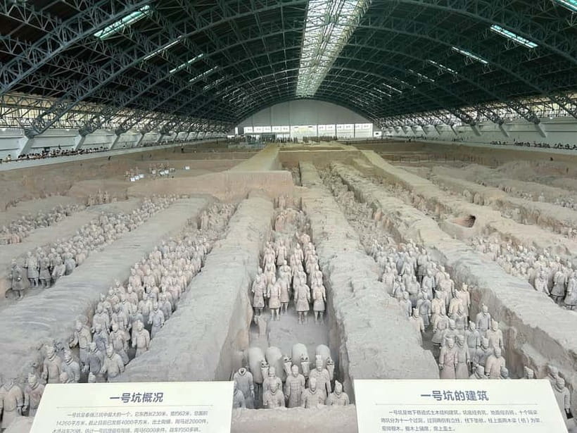 Xi'an: Exclusive Terracotta Army Tour & Local Family Lunch - What the small-group format changes