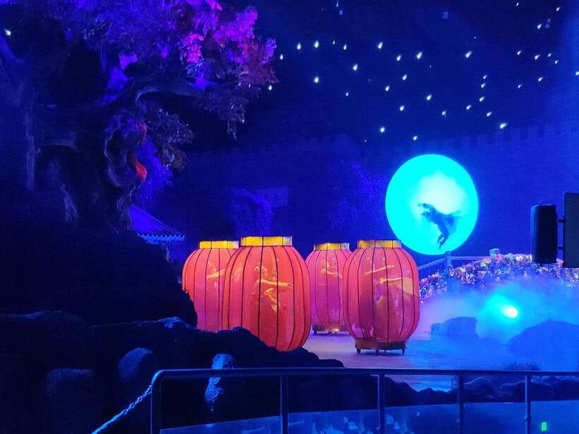 Xi'an Silk Road: Legend of Camel Bell Show Ticket w/Transfer - Why this show fits Xi’an so well