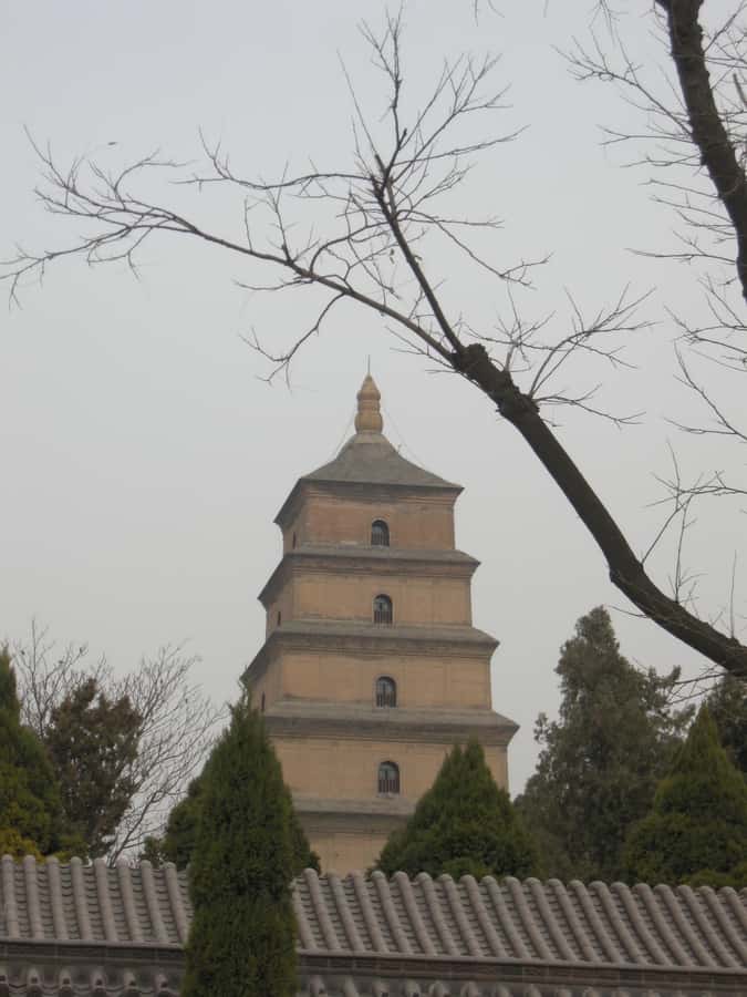Xi'an: Terra-Cotta Warriors Entry with Optional Guide - Why the Terracotta Army matters