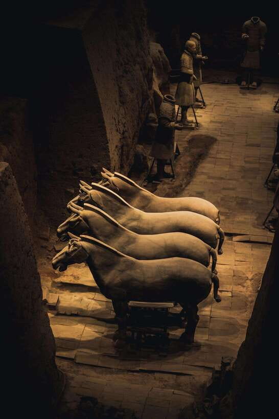 Xian Terra Cotta Warriors Ticket Only - Why the Terracotta Army Deserves Your Time
