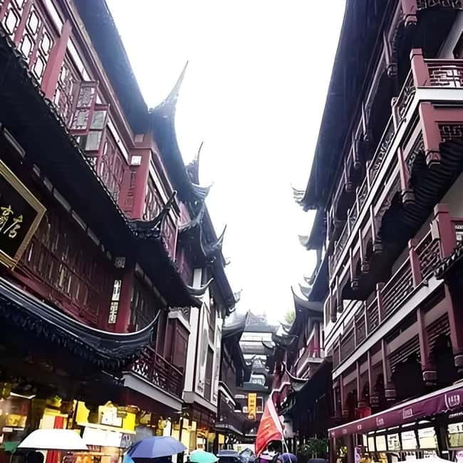 Yu Garden, Old Street, Bund & Zhujiajiao Water Town Bus Tour - Guides make the difference