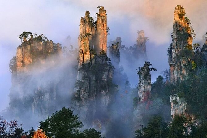 Zhangjiajie National Forest Park Entrance Ticket - Key points to know before you book