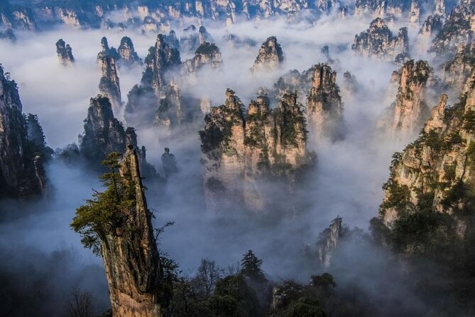 Zhangjiajie National Forest Park Entrance Ticket - Why advance booking is more than a convenience