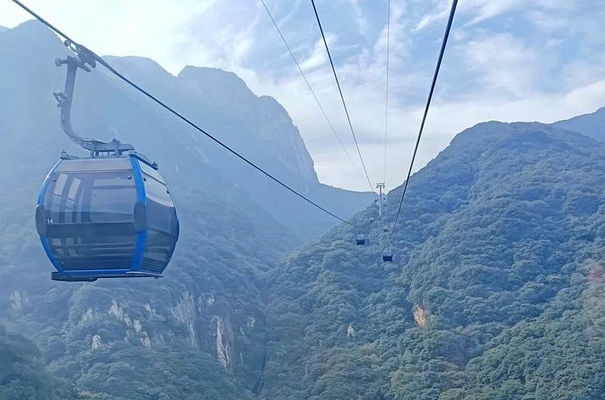 Zhengzhou Private Day Tour to Shaolin Temple and Longmen Grottoes - Timing, booking, and cancellation details